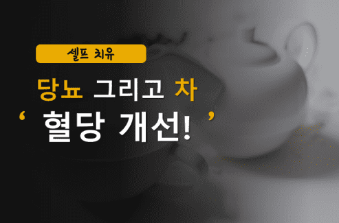 당뇨에 좋은 차 중 하나 루이보스차 들어 있는 주전자