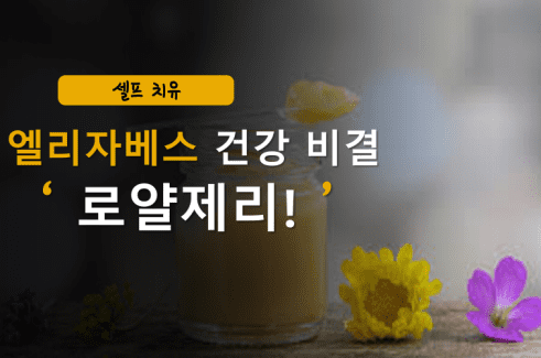 생로얄제리효능