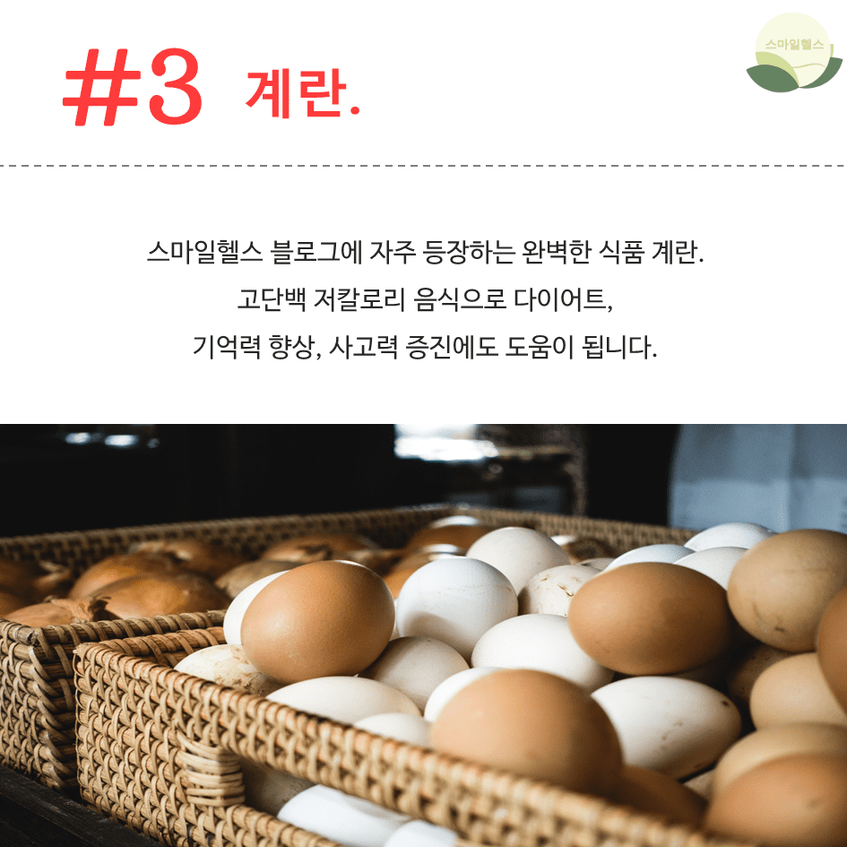계란이 건강에 좋은 이유 및 단백질 풍부한 식품 카드뉴스